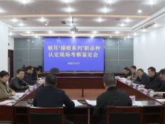 古田：加快新品種產(chǎn)業(yè)化開(kāi)發(fā) 滿足銀耳市場(chǎng)生產(chǎn)需求 ()