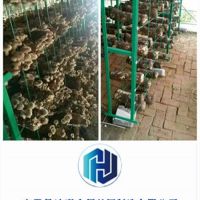 外行如何判斷食用菌網(wǎng)格架質(zhì)量，三點建議拿走不謝