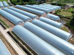 種植食用菌無大棚？這里有2.2萬平米現代化塑料大棚出租 ()