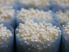 “數(shù)字金針菇”來了！海寧這里的農(nóng)民，有望增收1500萬 ()