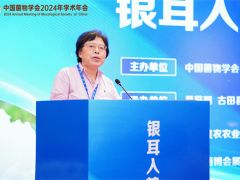 譚琦研究員談銀耳產(chǎn)業(yè)發(fā)展五大優(yōu)勢(shì) ()